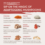 RYZE Mushroom Chai Starter Bag - VO55