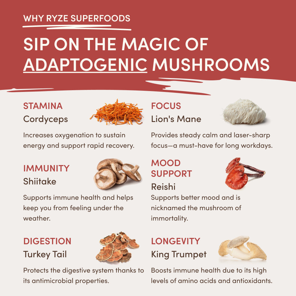 RYZE Mushroom Chai Starter Bag - VO55