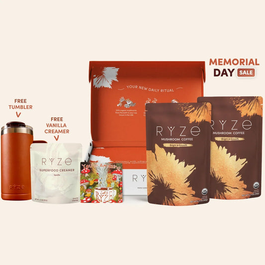 Mushroom Coffee Starter Kit 60 Serving - BQY3