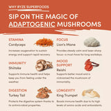 Mushroom Coffee (1 pack - 30 Servings) - SQJG