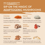 Mushroom Overnight Oats 14 Servings - JMTT