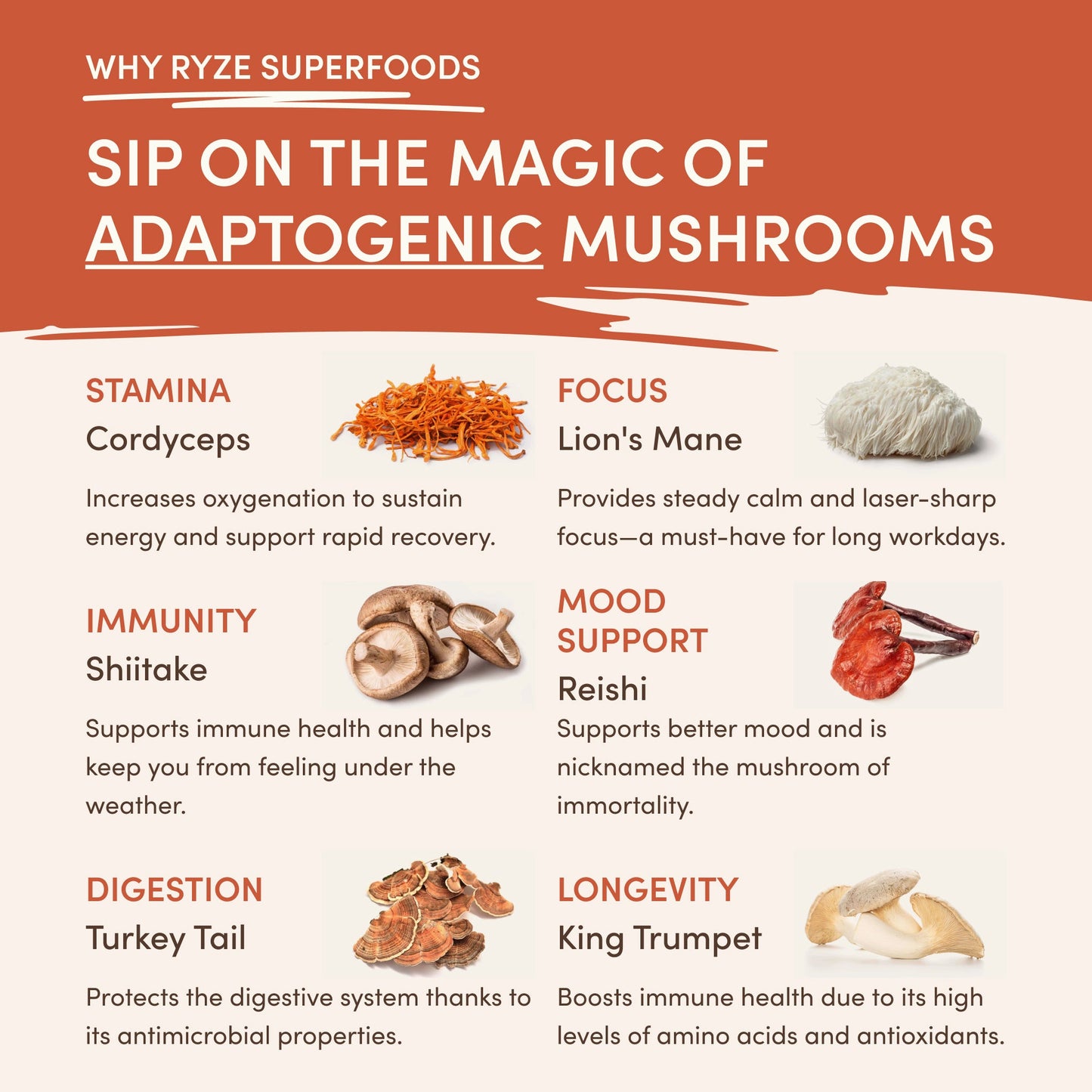 Superfood Creamer Starter Bag