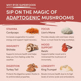 Mushroom Chai (1 Pack - 20 Servings) - 6SRK