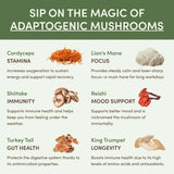 Mushroom Matcha Starter Kit (60 Servings) - 5JOB