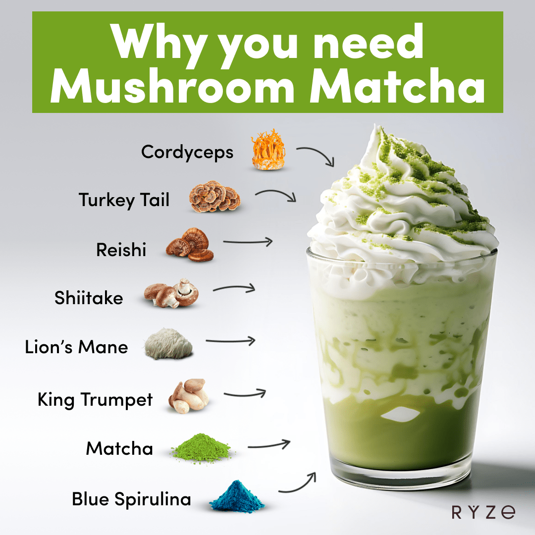 RYZE Organic Mushroom Matcha Starter Kit (60 servings) - FWHW