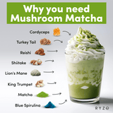 RYZE Organic Mushroom Matcha Starter Kit (60 servings) - FWHW